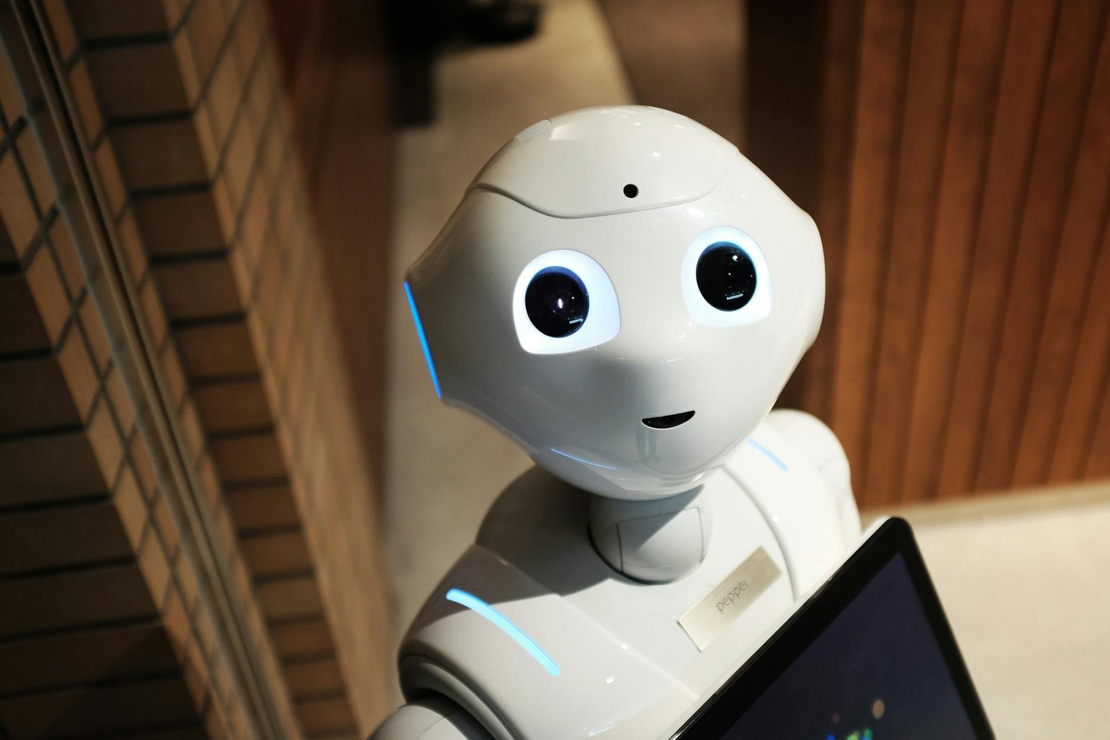 AI in Education: Personalized Learning or Digital Distraction?