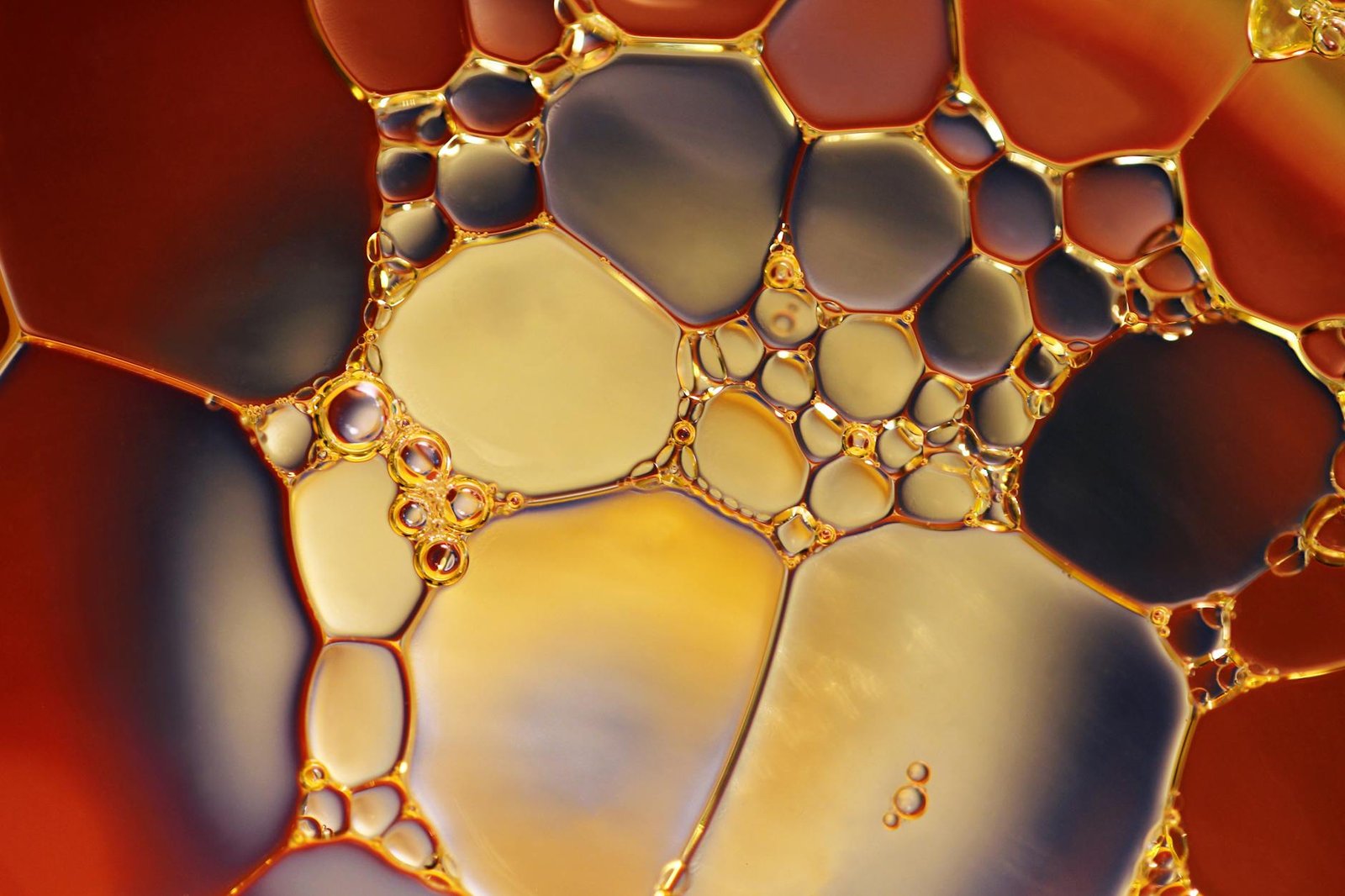 The Nature of Chemical Bonds: How Atoms Fall in Love
